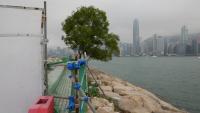 West Kowloon 65