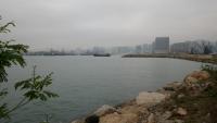 West Kowloon 81