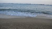 East Coast Park 41